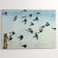 Sparrows Print by Chelsea Art Studio-25707326-25707325