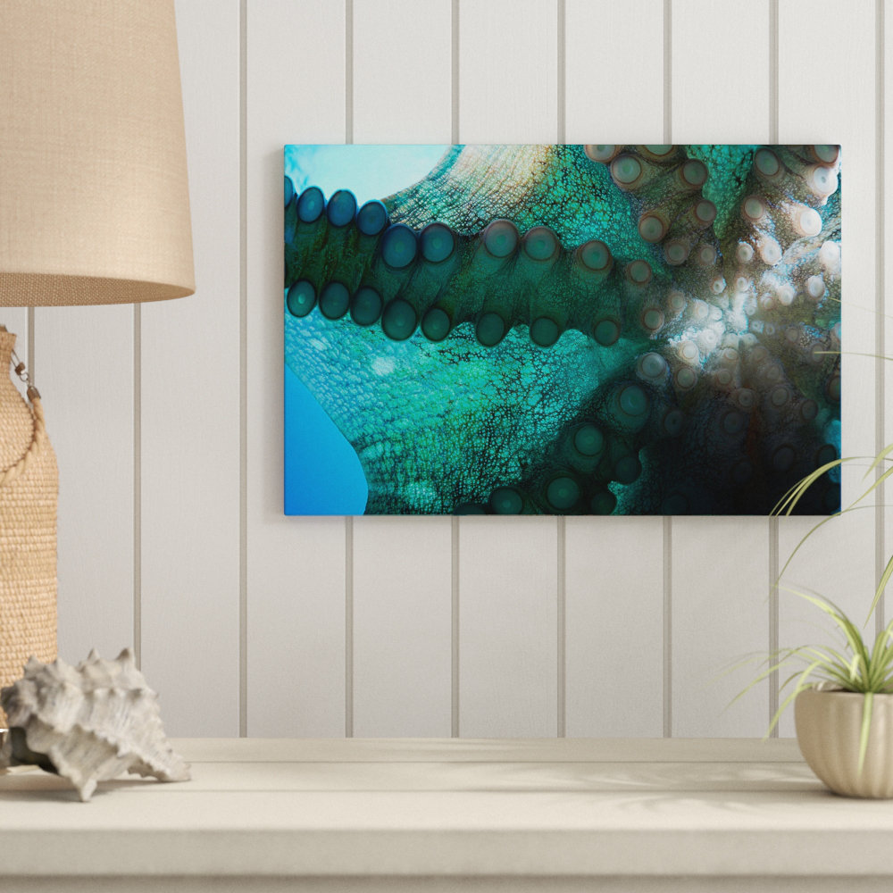 Day Octopus by David Fleetham - Wrapped Canvas Photograph Print