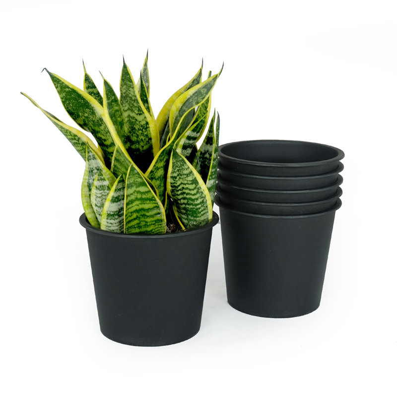5" Round Nursery Plant Pot - Garden Plastic Pots With Drainage, 4.7" H x 5" W x 5" D