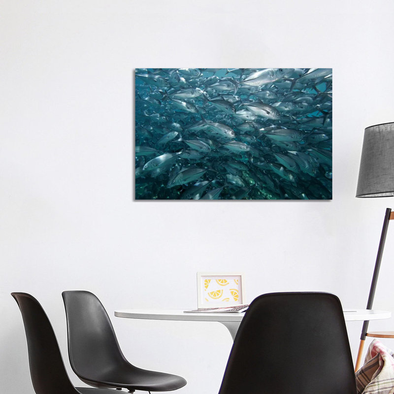 Bigeye Trevally School Swimming Off Sipadan Island, Celebes Sea, Borneo by Hiroya Minakuchi - Wrapped Canvas Print