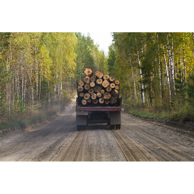 Truck by Ohotnik - Wrapped Canvas Print, 20cm H x 30cm W