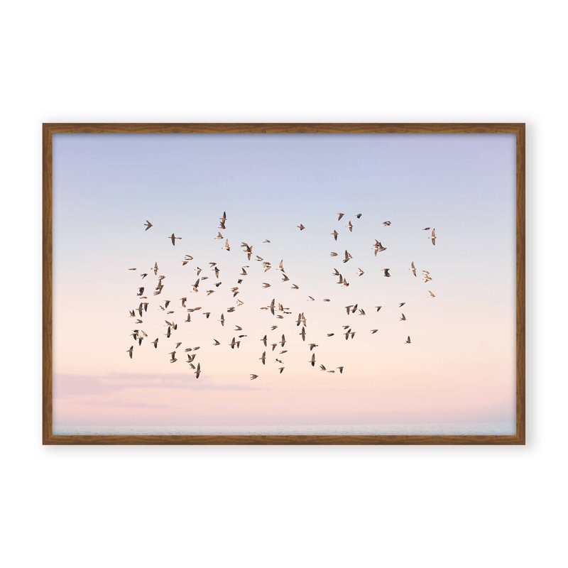 Nature Inspired Sunset Flight by  - Picture Frame Photograph on Paper, 16" H x 24" W x 2.375" D, Framed Canvas, White