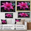 " Fuschia Vivacious Flowers I "-10384456-10384503