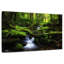 Alvord Sangdong Moss Valley-106046236