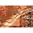 One-of-a-Kind 5' X 7' Before 1900 Wool Area Rug in Brown/Beige