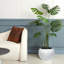 Pot Planter-1176478783