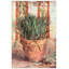 Vincent Van Gogh - Wrapped Canvas Painting-21212977
