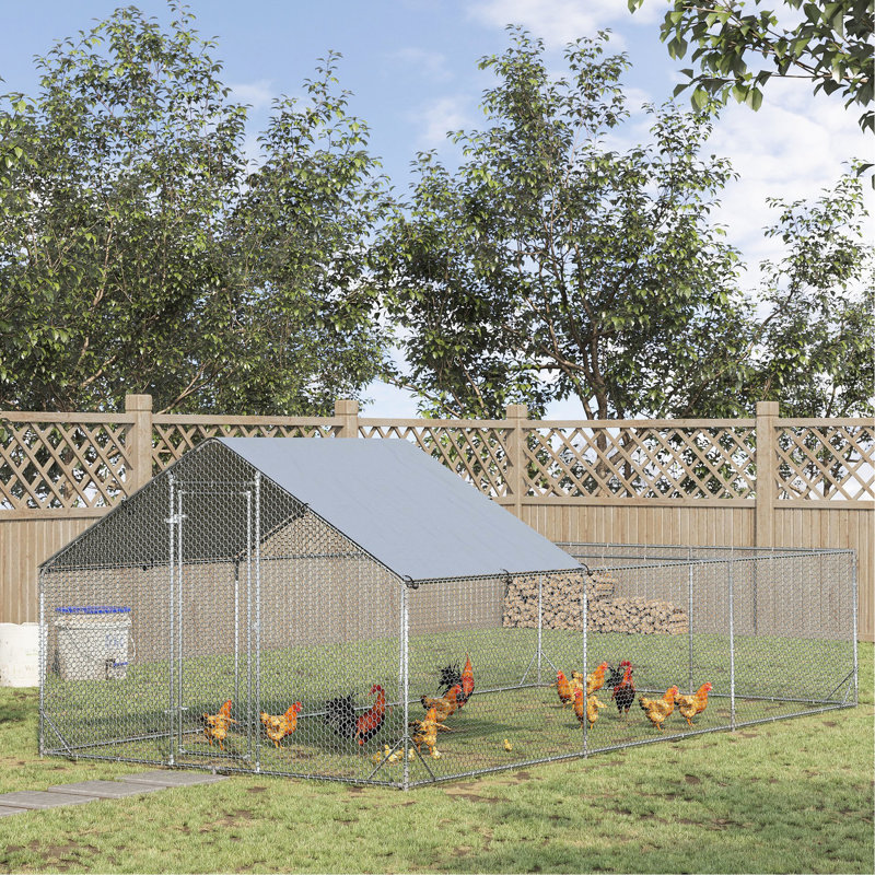 Grand poulailler avec couloir en métal, imperméable, sécuritaire pour les canards, accès de 9,8 pi x 19,7 pi 6,4 pi