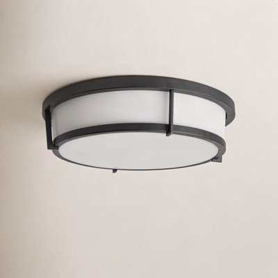 Briella 2 Light Acrylic Flush Mount