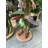 Small Green Baby Raptor Dinosaur Statue