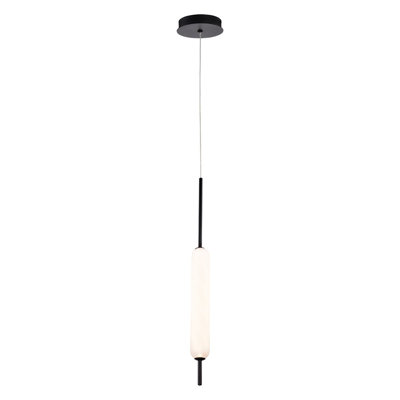 Luminaire suspendu cylindrique à 1 lumière DEL