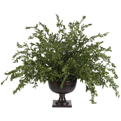 Smilex Branch, Green, Bronze Urn, 63wx63dx51h