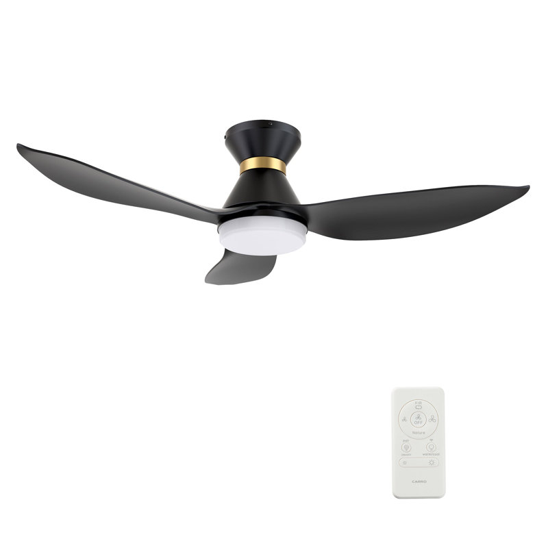 Ryatt Smart Ceiling Fan with Remote, Light Kit Included,Works with Google Assistant and Amazon Alexa,Siri Shortcut., Black