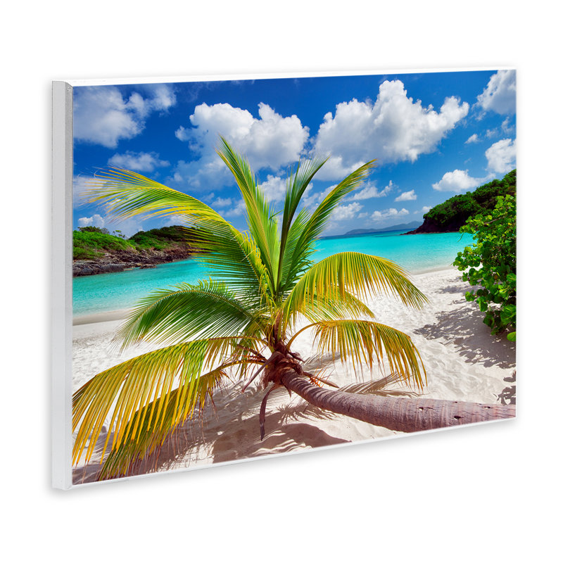 «Palm Tree Across Beach», art mural par Dennis Frates, H 13 po x l 19 po