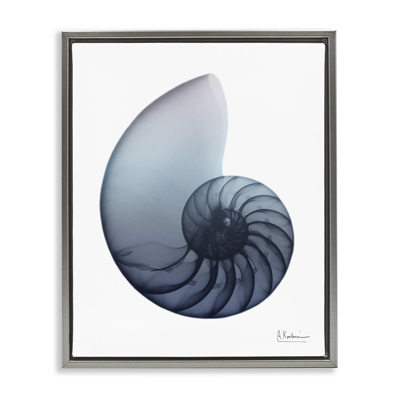 «Dovecove Contemporary Nautilus Shell», art mural encadré par Albert Koetsier, H 21 po x l 17 po