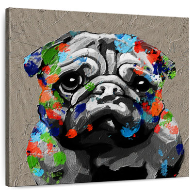 Portrait de chien Crowle