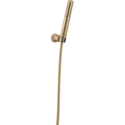 2-Setting Wall Mount Handheld Shower Head with High Pressure ProClean Spray Brushed Gold