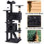Cat Tree-101437452-105286892