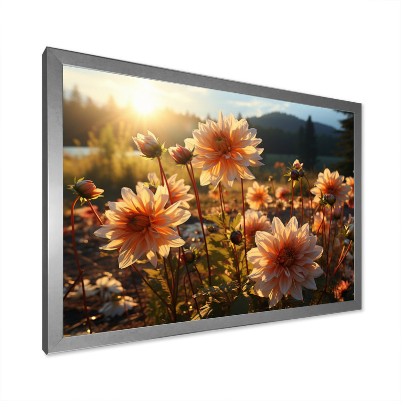 Daisies Field Sunrise II - Floral Wall Art Prints, Cadre simple argenté, H 30 po x l 40 po x P 1,5 po