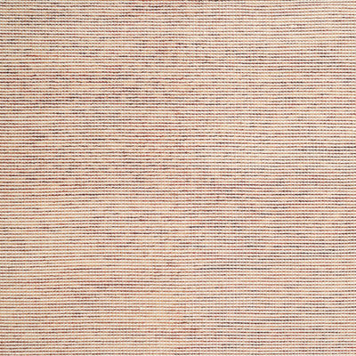 Indoor Rug