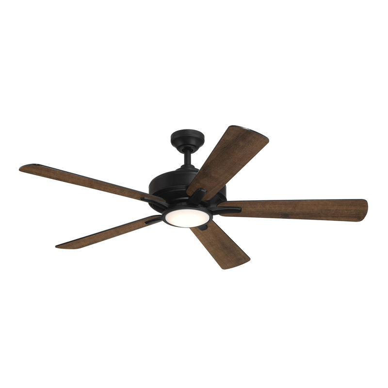 Ventilateur de plafond DEL d'intérieur Frio , Noir mat