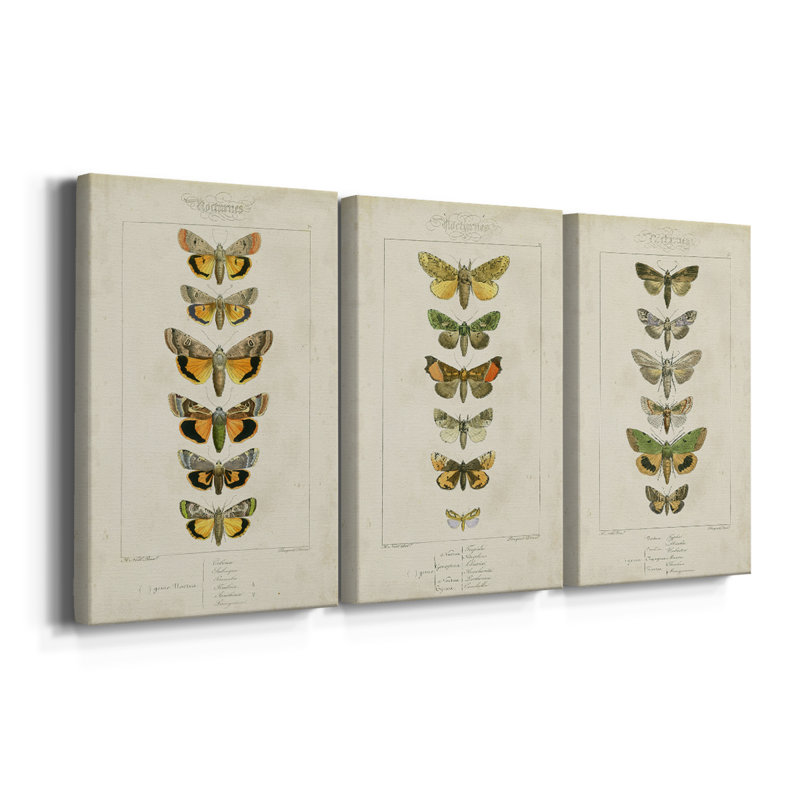 «Mauve Butterflies I - Toile tendue avec châssis sur mesure - 3 pièces, H 12 po x l 24 po