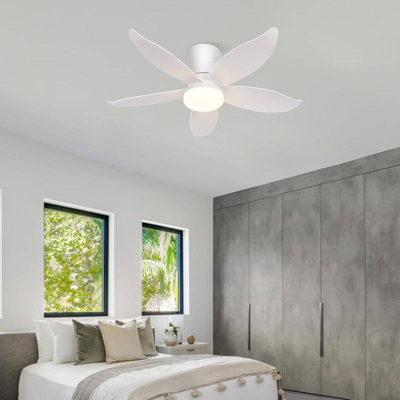 Ceiling Fan
