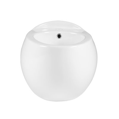 Plaisir Wall Mount Bidet (Faucet Not Included)