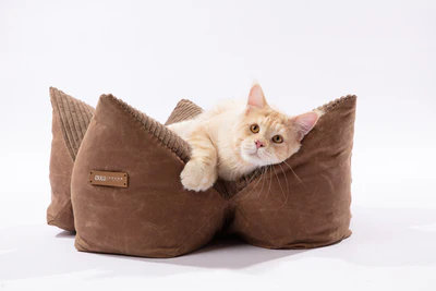 OULU X - Coussin pour animal de compagnie - brun canyon M, Médium, Canyon Brown