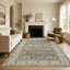 Oriental Machine Printed Area Rug-1899359925