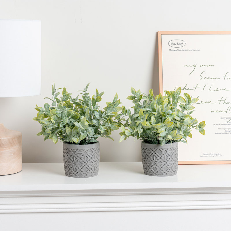 2 - Piece Artificial Plant Set