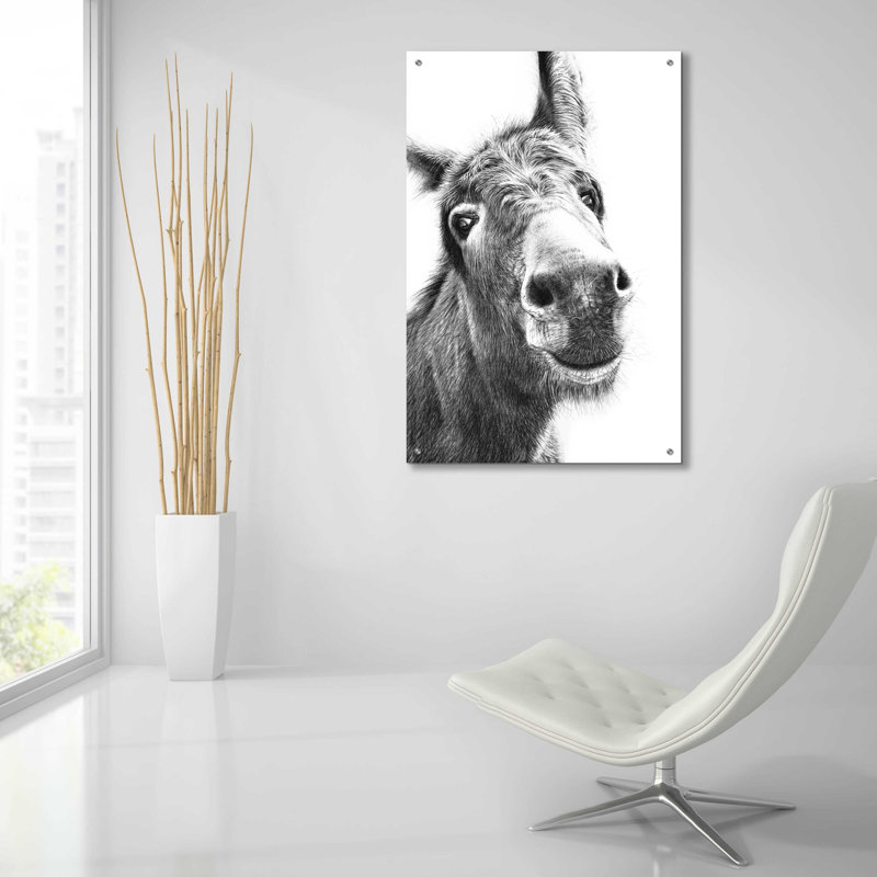 " Chesnut " by Sam Dolman