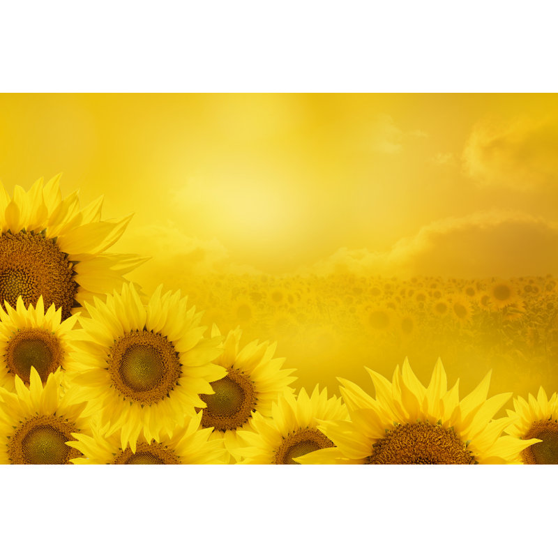 Sunflowers by SonerCdem - Wrapped Canvas Print, 61cm H x 91cm W