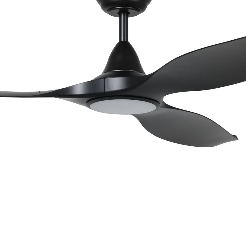 Ventilateur de plafond 60 pouces Fessler, Noir, noir, noir, noir