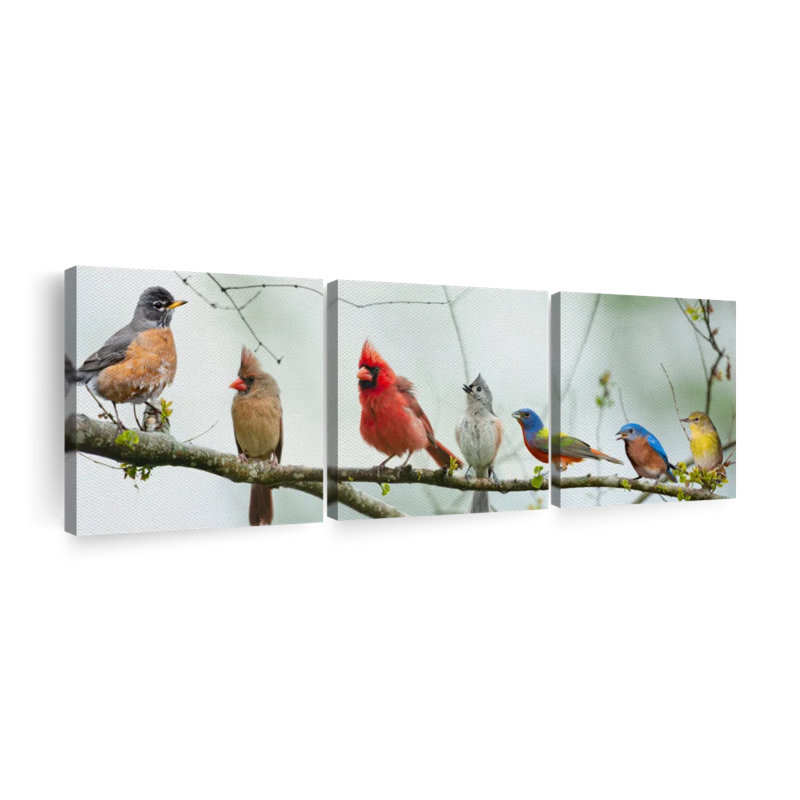 Rassemblement d'oiseaux sur toile, ensemble de 3 pièces, H 8 po x l 26 po x P 1 po