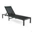 Outdoor Chaise Lounge (Set Of 2)