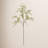 Leaves Arrangement