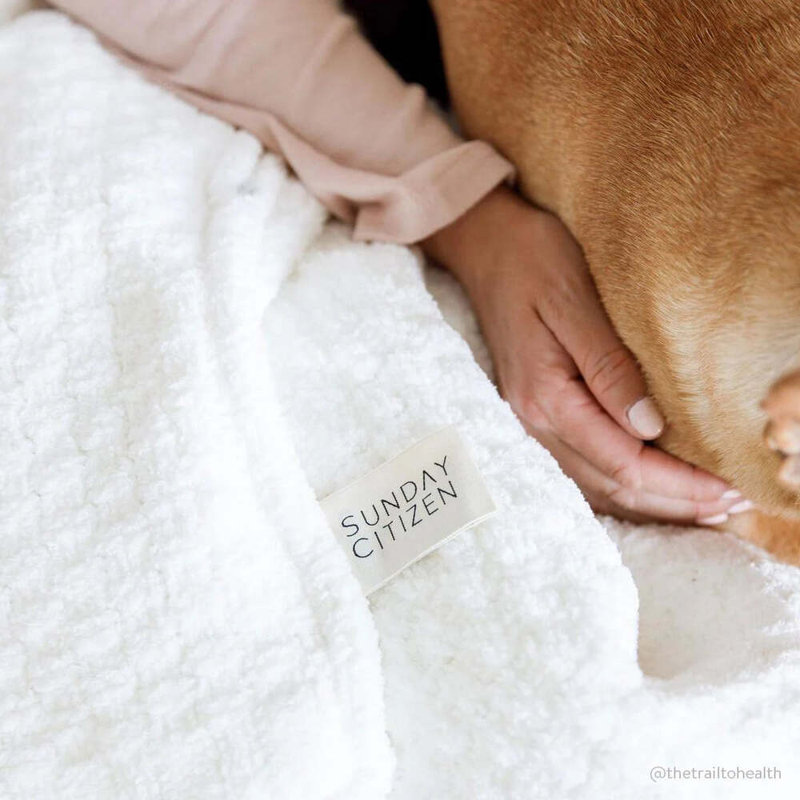 Snug Weighted Throw Blanket, Off White