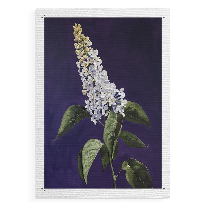 FLORAL Series CCxxvi - Impression sur toile seulement - non encadrée, H 18 po x l 12 po