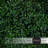 Faux Boxwood Hedge-1033636750