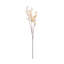 Tige d'eucalyptus ensemencé (ensemble de 6)-818316882
