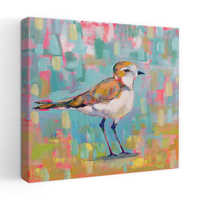 Coastal Plover III Bird Coastal Art
