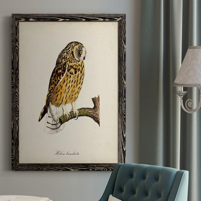 Maddock French Owls II