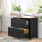 2-Drawer Lateral File Cabinet