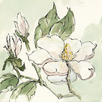 «White Magnolia II» par Chris Paschke, reproduction d'art sur toile tendue