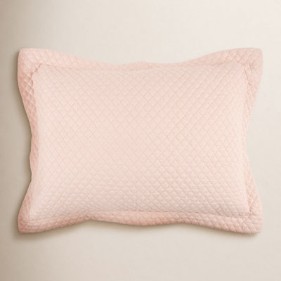 Teo Cotton Shams