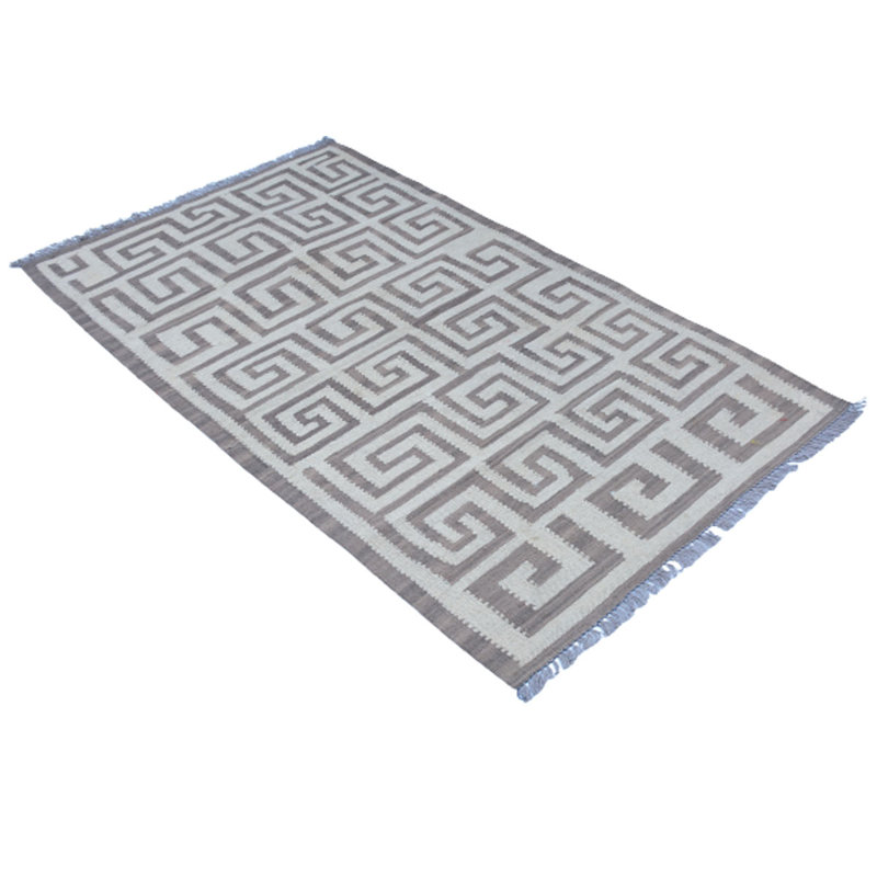 Cameika Hand Woven Grey Indoor Rug