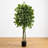 Ficus Artificial Tree