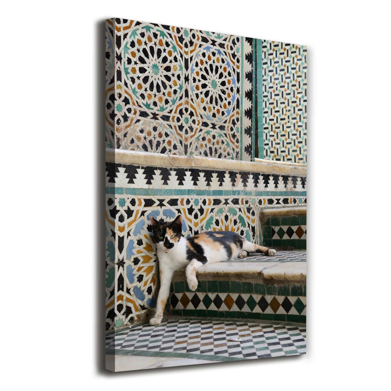 Cat In Morocco - Wrapped Canvas Print