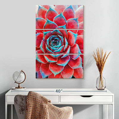 Harnek Crimson Succulents